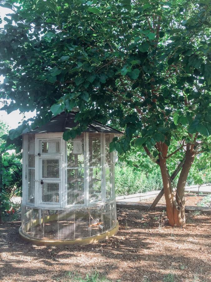 Agrilia Maison Razata Екстер'єр фото